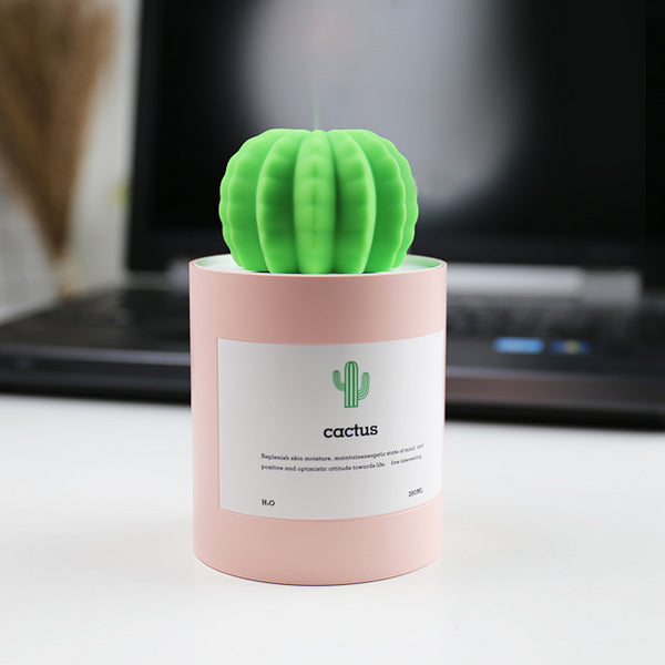 Qric Humidifier Double Spray Cactus Humidator Large Capacity USB Home  Desktop Mini Air Humidifier (Color : Green): Buy Online at Best Price in  UAE 