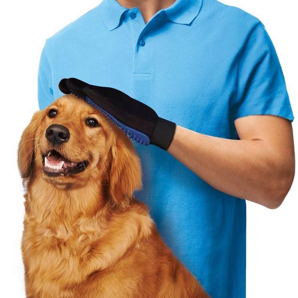 Best dog deshedding outlet glove