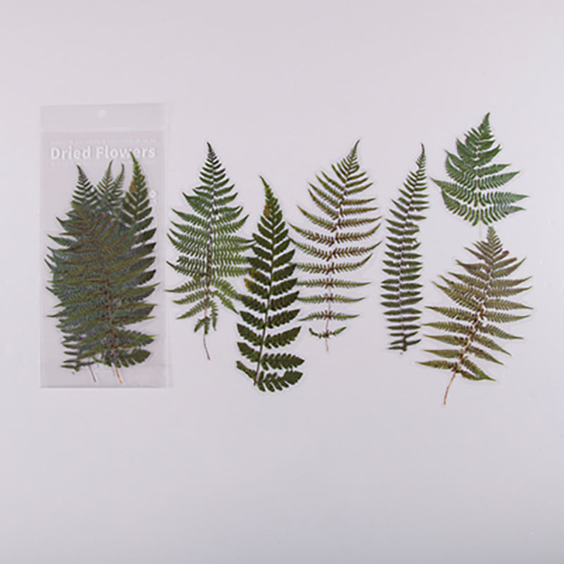 Translucent Botanical Flowers, Ferns and Leaves Stickers